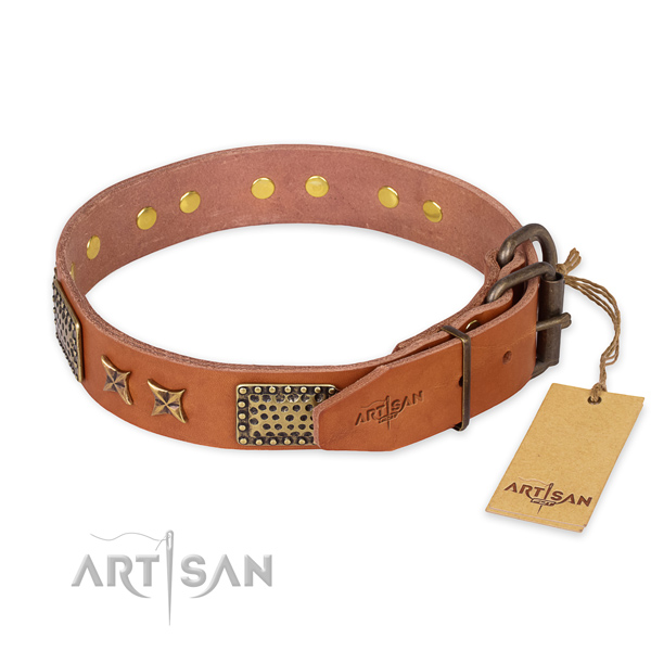 Corrosion proof fittings on full grain leather collar for your impressive four-legged friend