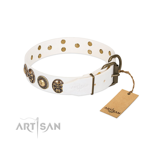 Reliable studs on walking dog collar