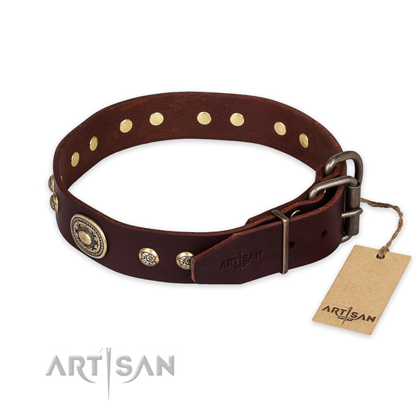 Rust resistant traditional buckle on full grain natural leather collar for walking your four-legged friend