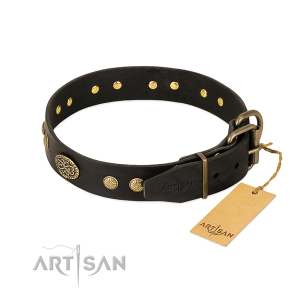 Strong embellishments on genuine leather dog collar for your dog