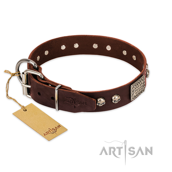 Strong embellishments on everyday use dog collar