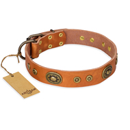 "Dandy Pet" FDT Artisan Handcrafted Tan Leather Pitbull Collar