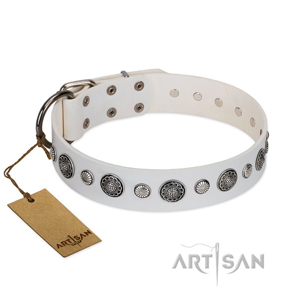 Reliable leather dog collar with corrosion resistant fittings