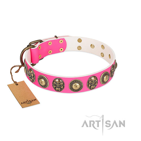 Easy to adjust full grain leather dog collar for basic training your dog
