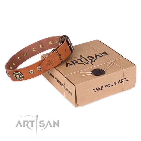 Corrosion proof D-ring on full grain natural leather dog collar for walking