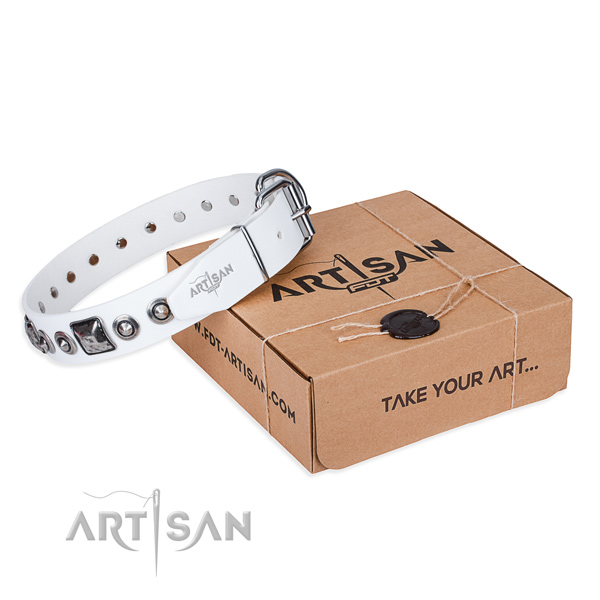 Quality genuine leather dog collar created for handy use