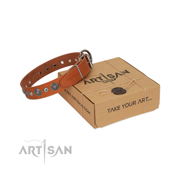 Full grain natural leather collar with rust resistant hardware for your beautiful canine