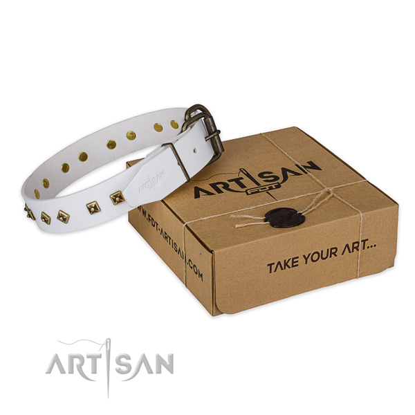 Corrosion proof buckle on full grain leather dog collar for easy wearing