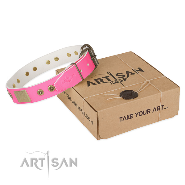 Strong traditional buckle on dog collar for daily walking