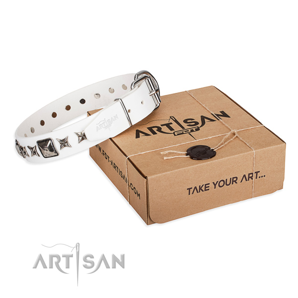Everyday use natural leather dog collar with adornments