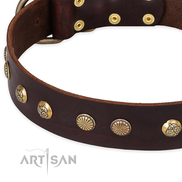 Full grain natural leather collar with reliable fittings for your beautiful four-legged friend