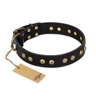 "Black Elegance" FDT Artisan Leather Pitbull Collar with Round Studs