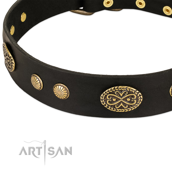 Corrosion proof studs on full grain genuine leather dog collar for your dog