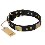 "Spanish night" FDT Artisan Fashionable Leather Walking Pitbull Collar