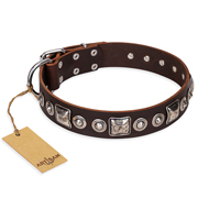 "Pierian spring" FDT Artisan Brown Leather Pitbull Collar with Silvery Decorations