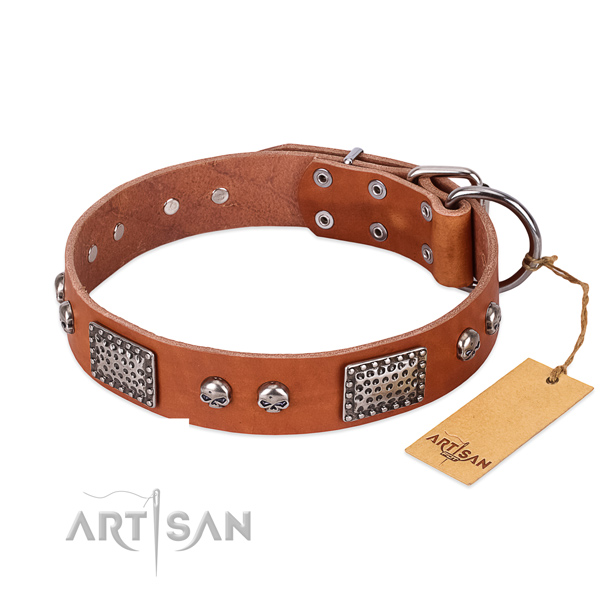 Easy to adjust full grain natural leather dog collar for stylish walking your pet