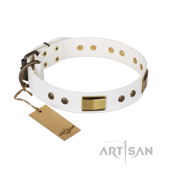 Adorned leather collar for your doggie