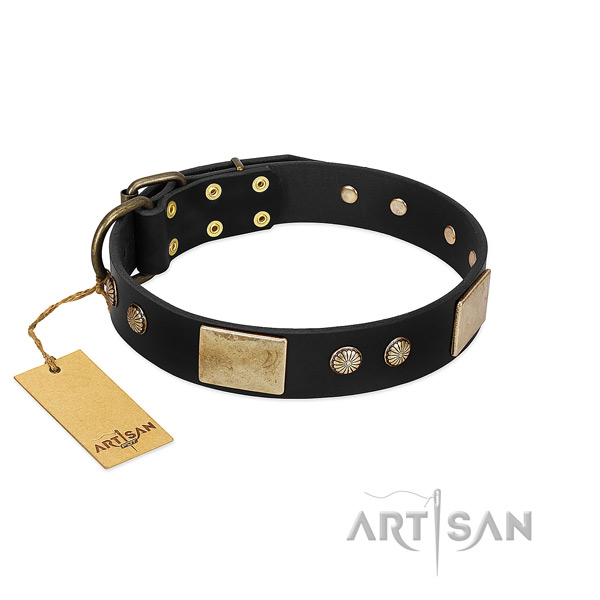 Exquisite genuine leather dog collar for daily use