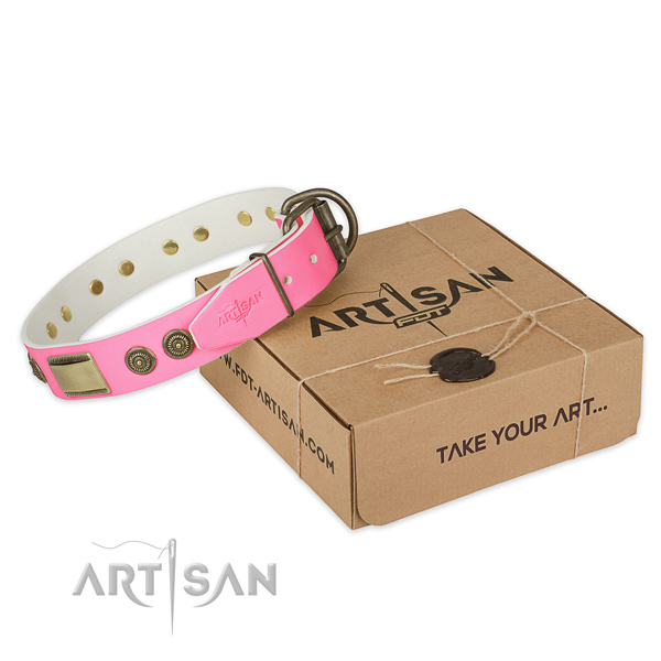 Rust resistant studs on dog collar for everyday use