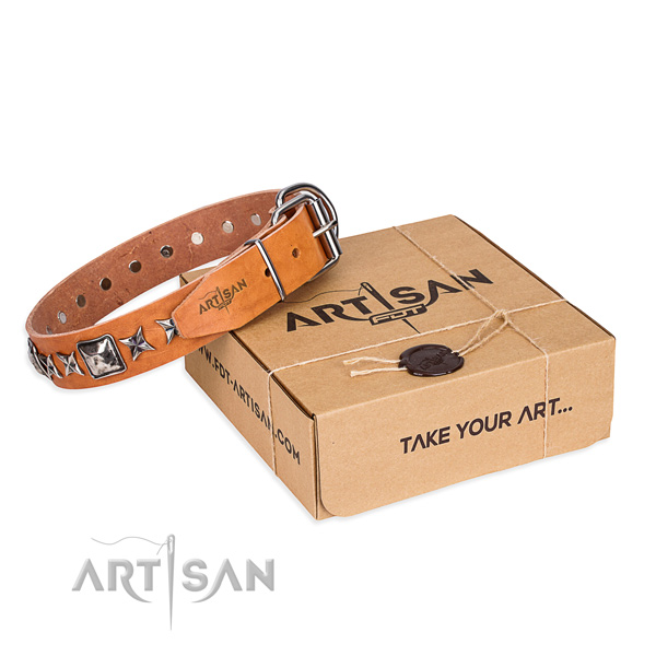 Comfy wearing full grain natural leather dog collar with adornments