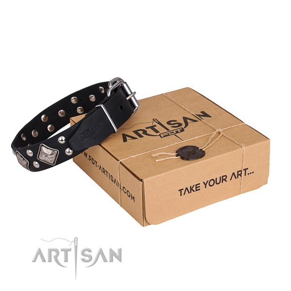 Easy wearing dog collar with Stylish design rust resistant embellishments