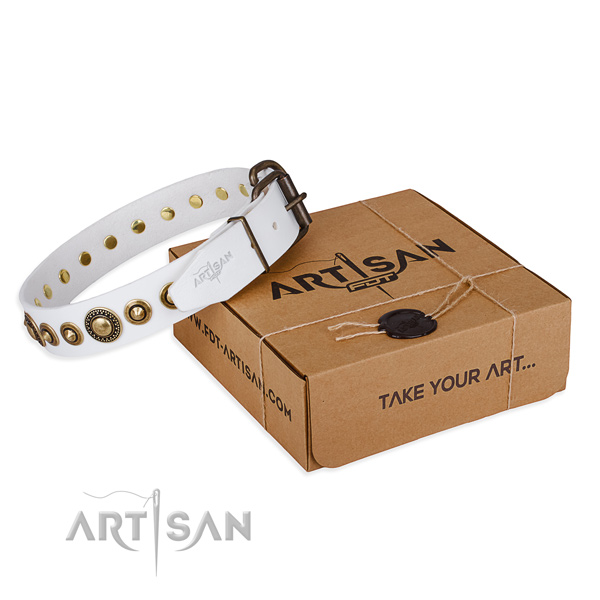 High quality full grain leather dog collar crafted for comfy wearing