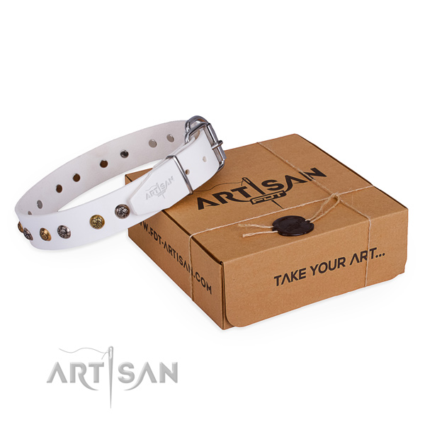 Handy use dog collar with Incredible corrosion resistant adornments