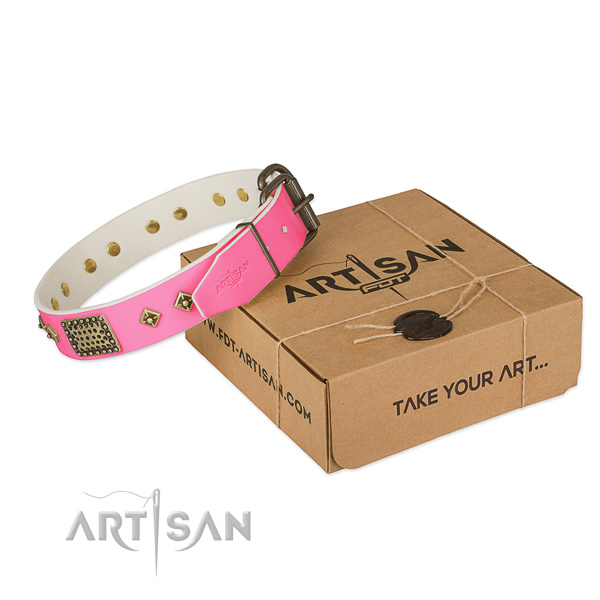 Strong embellishments on dog collar for walking