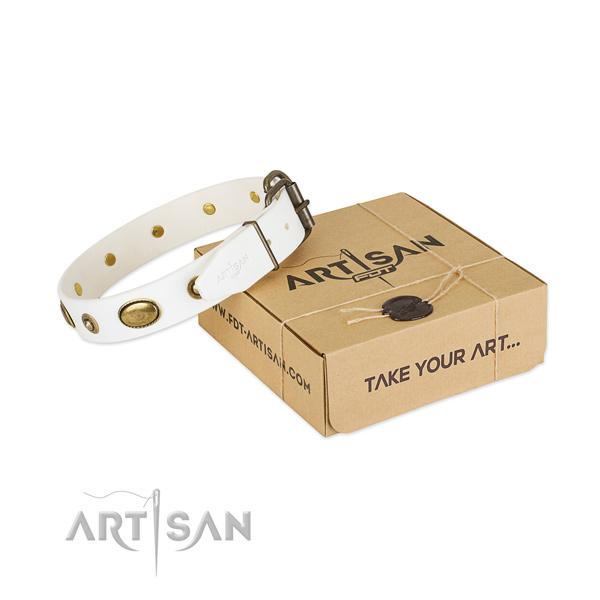 Stylish full grain natural leather collar for your beautiful canine