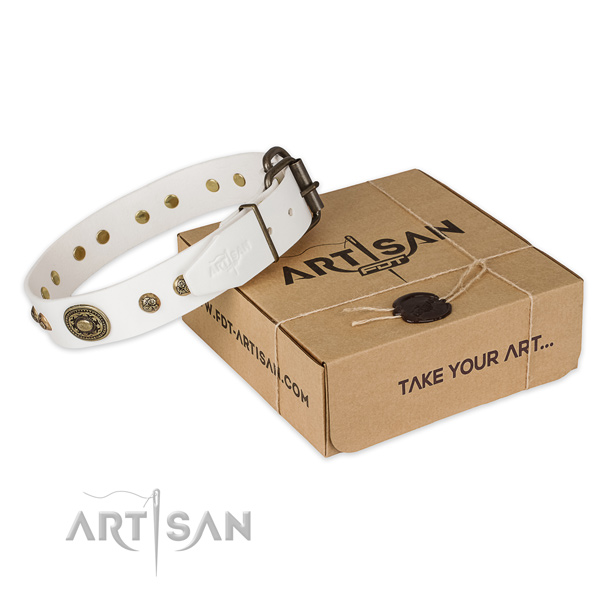 Reliable buckle on full grain natural leather dog collar for daily use