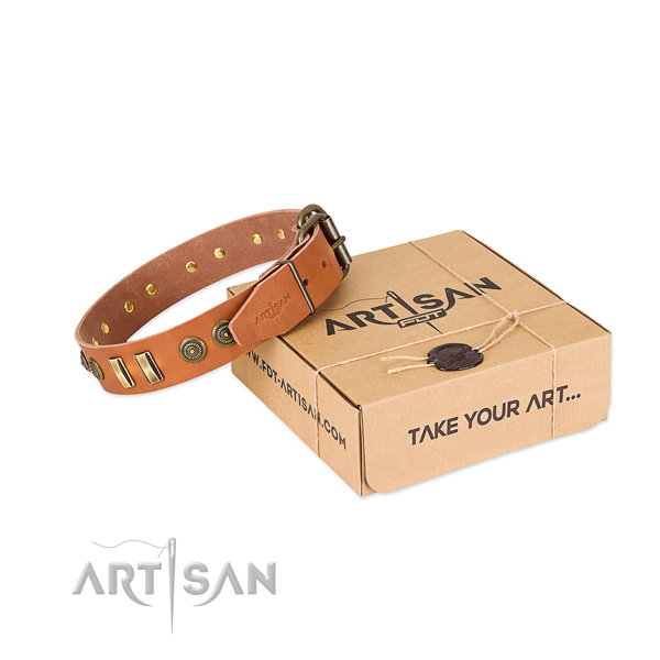 Reliable adornments on full grain leather dog collar for your four-legged friend