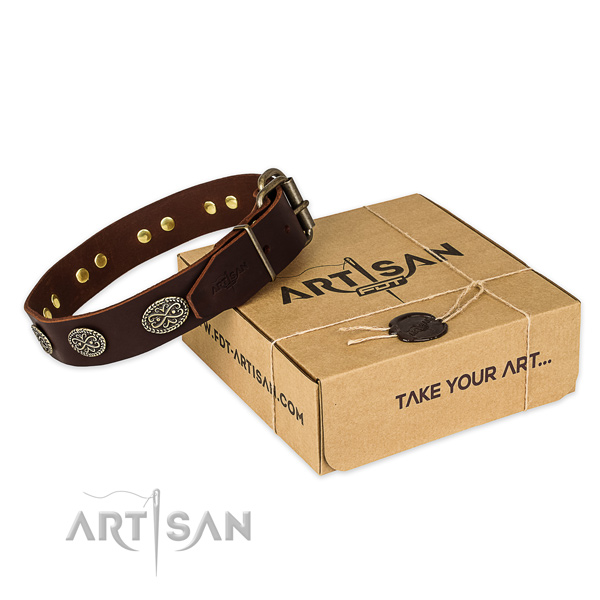 Corrosion proof buckle on leather collar for your stylish canine