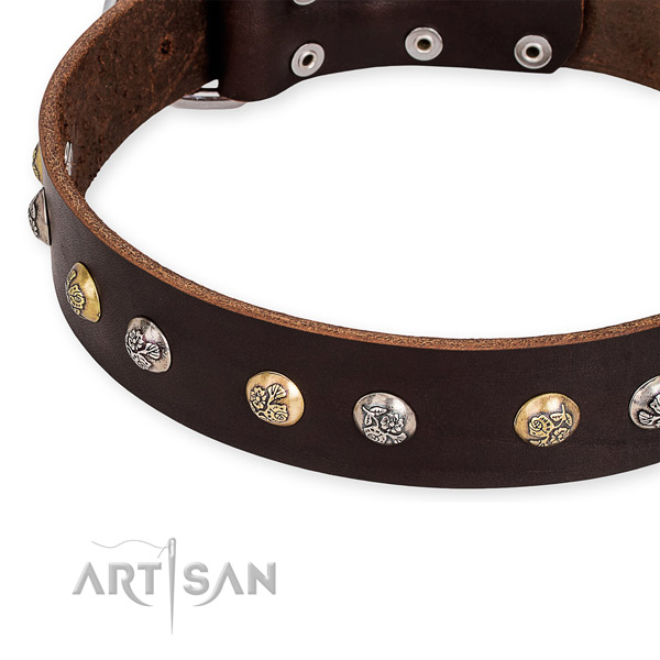 Leather dog collar with top notch corrosion resistant studs