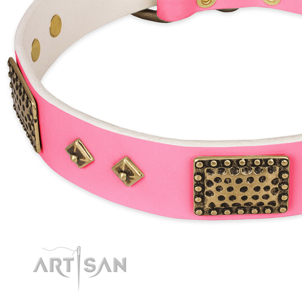 Full grain natural leather dog collar with studs for daily use