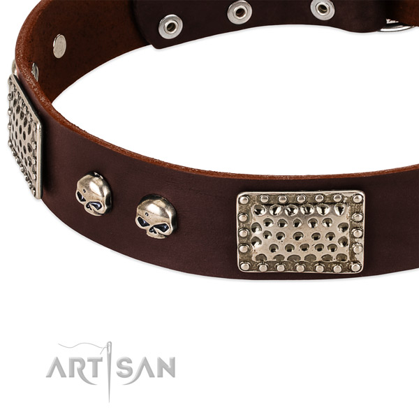 Rust-proof traditional buckle on full grain leather dog collar for your canine