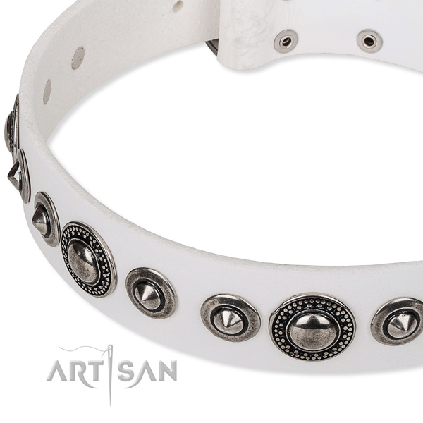 Handy use adorned dog collar of top notch full grain genuine leather