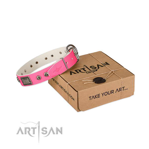 Rust-proof buckle on dog collar for stylish walking