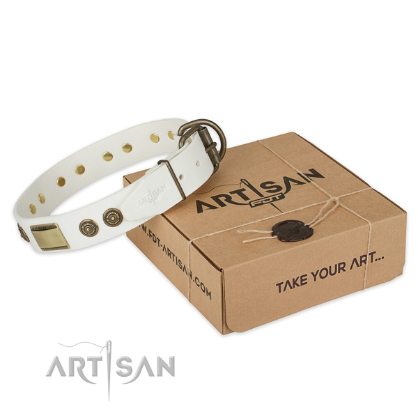 Reliable hardware on full grain leather dog collar for comfortable wearing