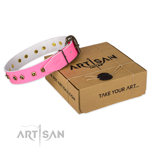 Reliable buckle on genuine leather dog collar for everyday use