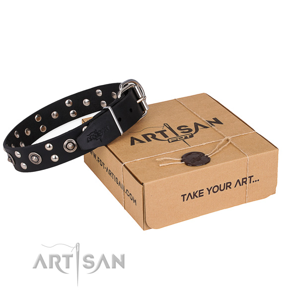 Everyday use dog collar with Stylish reliable studs