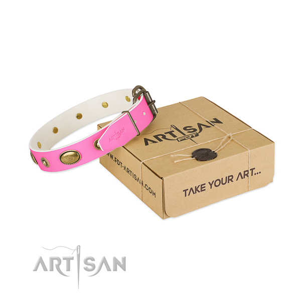 Stunning full grain natural leather collar for your impressive doggie