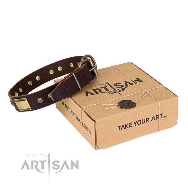 Stylish design full grain leather collar for your attractive dog