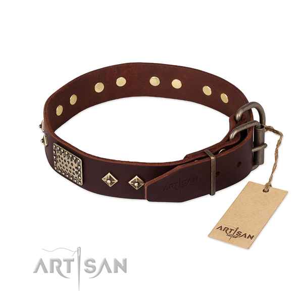 Full grain natural leather dog collar with strong buckle and studs