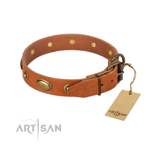 Rust-proof adornments on full grain leather dog collar for your canine