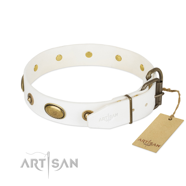 Corrosion resistant decorations on natural leather dog collar for your pet
