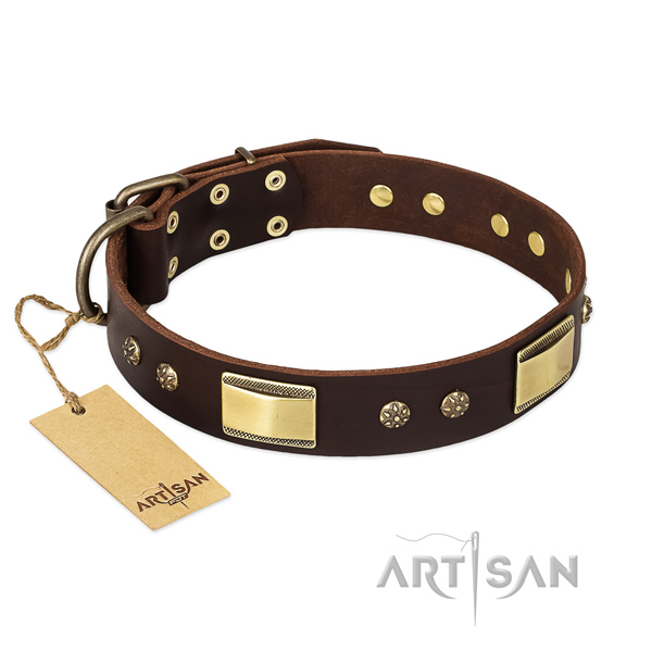 Full grain genuine leather dog collar with rust resistant buckle and embellishments