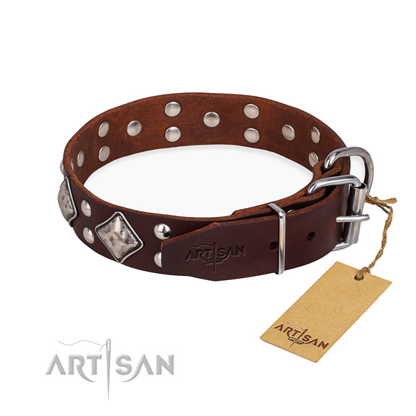 Full grain natural leather dog collar with extraordinary durable embellishments