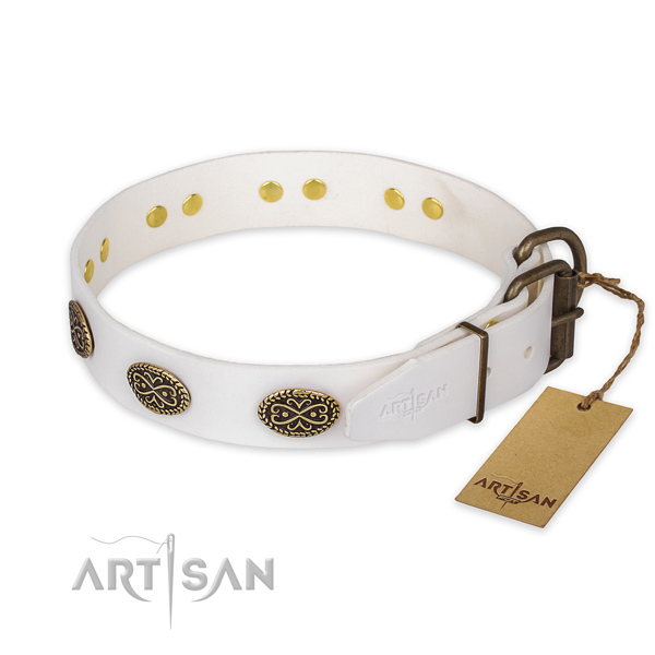 Reliable D-ring on genuine leather collar for basic training your dog