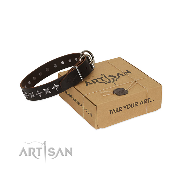 Walking dog collar of fine quality leather with decorations