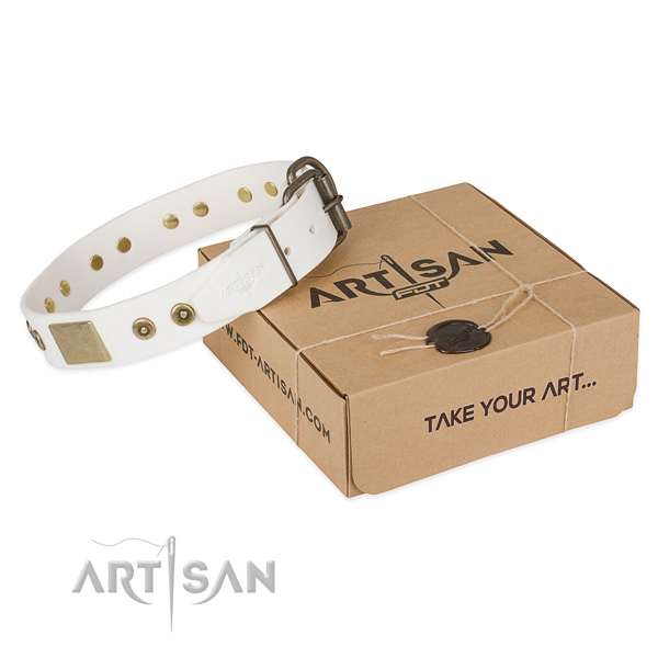 Significant genuine leather collar for your handsome dog